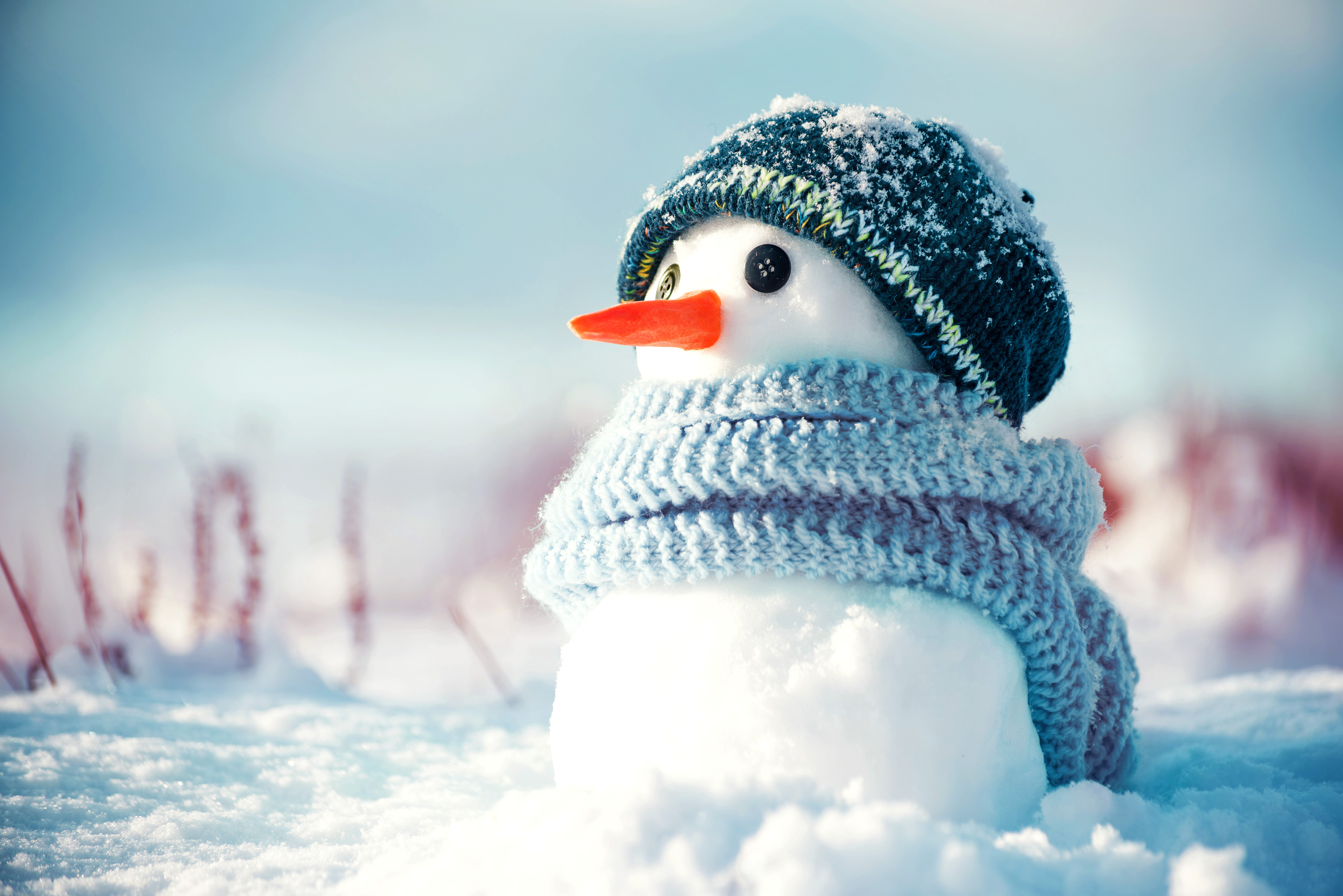 Snowman wearing a knit hat and scarf, with a bright orange carrot nose, sitting in snowy field.