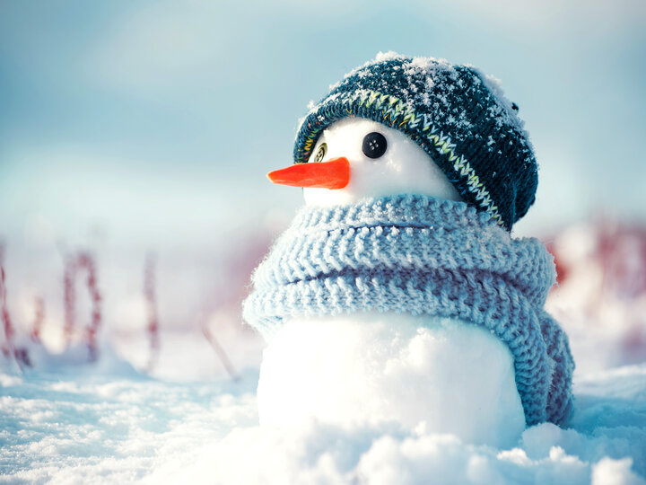 Snowman with blue hat and blue scarf with orange carrot nose. Made out of snow.
